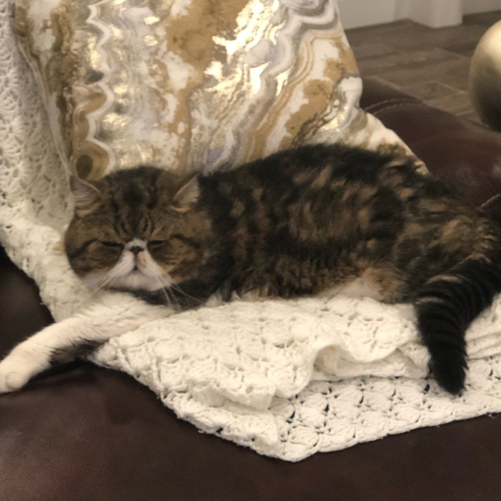 Meet your Posher, Irina